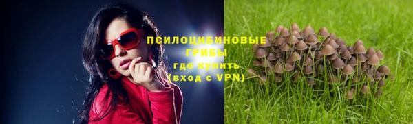гидра Абинск