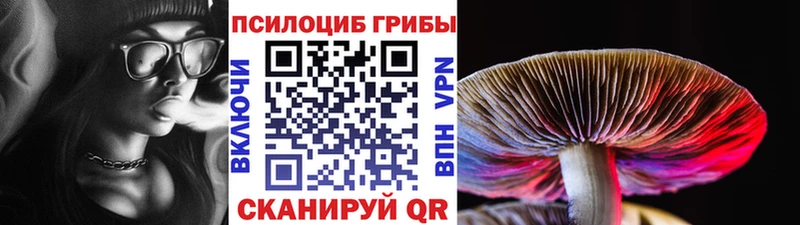 Галлюциногенные грибы мухоморы  Александровск-Сахалинский 